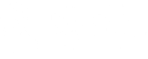 Mingyuan Rong